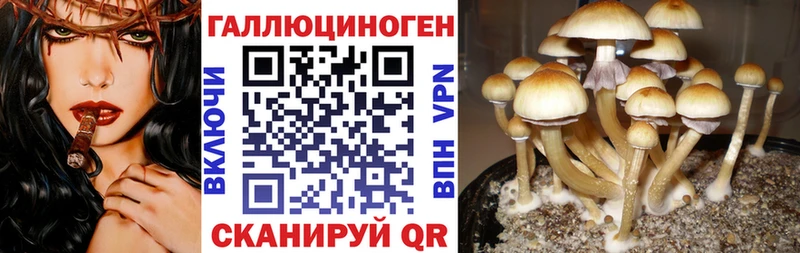 Галлюциногенные грибы мухоморы  Углегорск 